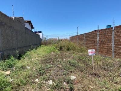 Terreno para Venda, em Pesqueira, bairro Prado