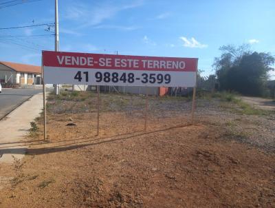 Terreno Comercial para Venda, em Lapa, bairro Alto da Cruz