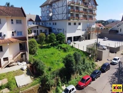 Terreno para Venda, em Nova Petrpolis, bairro Centro