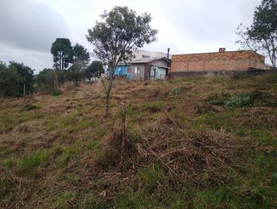 Terreno para Venda, em Lages, bairro Vila Maria