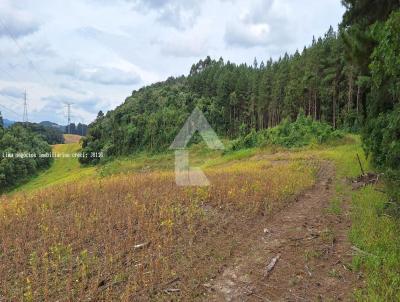 rea Rural para Venda, em Campo Magro, bairro So Joo