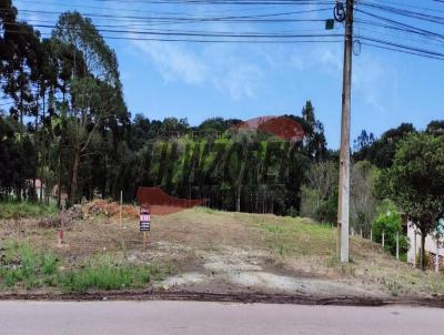 Terreno para Venda, em Contenda, bairro SERRINHA