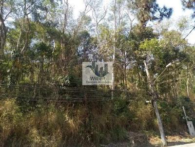 Terreno para Venda, em Petrpolis, bairro Carangola