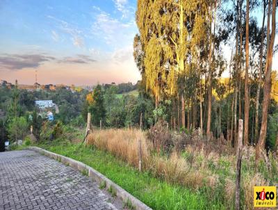 Terreno para Venda, em Nova Petrpolis, bairro Vila Germnia