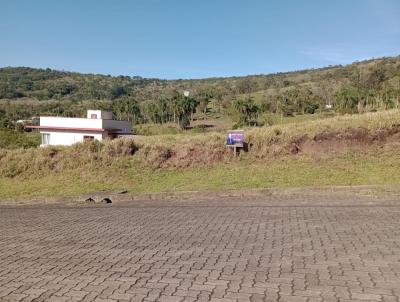 Terreno para Venda, em Nova Hartz, bairro Zona Urbana