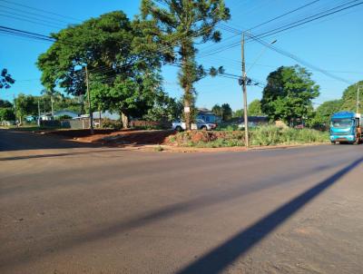 Lote para Venda, em So Miguel do Iguau, bairro Santa Catarina