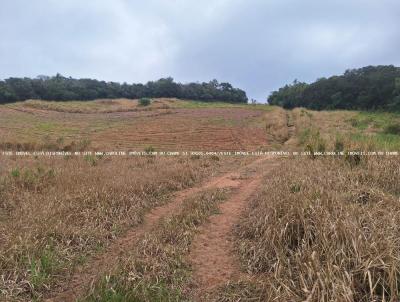 rea Rural para Venda, em Mariana Pimentel, bairro Boqueiro Baixo