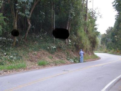 Terreno para Venda, em Duas Barras, bairro Centro