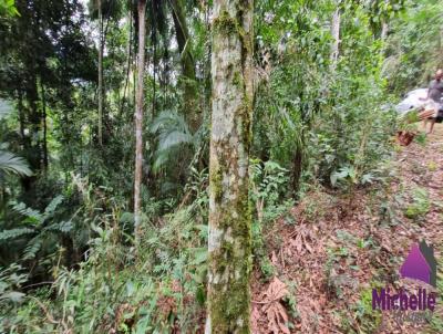 Terreno para Venda, em Terespolis, bairro PRATA