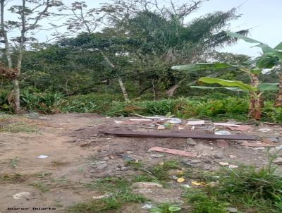 Terreno para Venda, em Itanham, bairro NOVA ITAHAEM