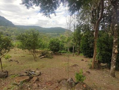 Chcara para Venda, em Taquara, bairro Batinguera