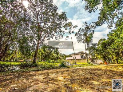 Terreno Comercial para Venda, em Paraty, bairro Ponte Branca