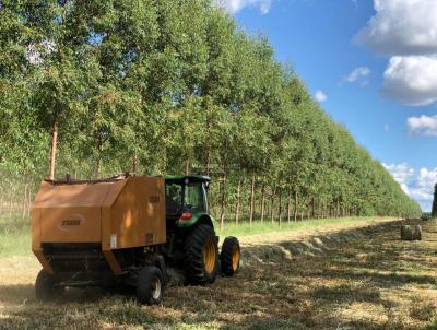 Fazenda para Venda, em , bairro Serra Do Cabral