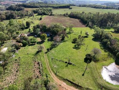 Chcara para Venda, em Santa Rosa, bairro Linha Treze Norte