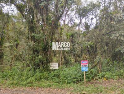 Terreno para Venda, em Balnerio Barra do Sul, bairro CONQUISTA