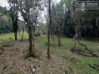 Stio para Venda, em Trs Coroas, bairro Figueira