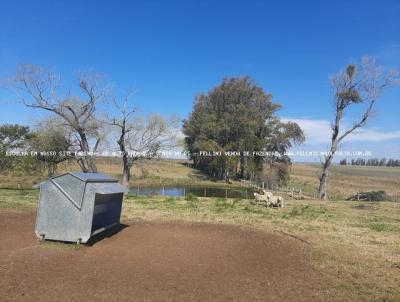 Fazenda para Venda, em , bairro PAIS - URUGUAI