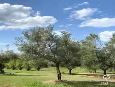 Fazenda para Venda, em Encruzilhada do Sul, bairro RS