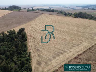 Stio para Venda, em Londrina, bairro Warta