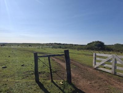 Fazenda para Venda, em , bairro PAIS - URUGUAI