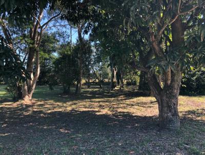 Terreno para Venda, em Imbituba, bairro Alto arroio