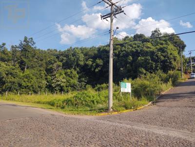 Terreno para Venda, em Santa Maria do Herval, bairro Centro