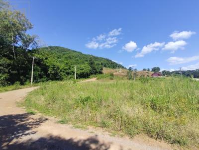 Terreno para Venda, em Santa Maria do Herval, bairro Centro