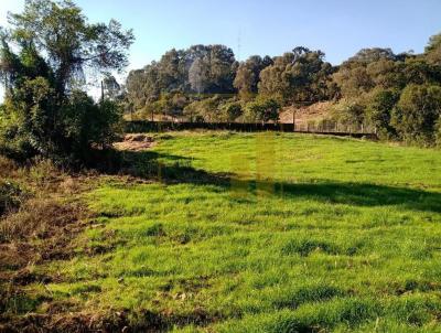 Terreno para Venda, em Santa Maria do Herval, bairro Padre Eterno Ilges