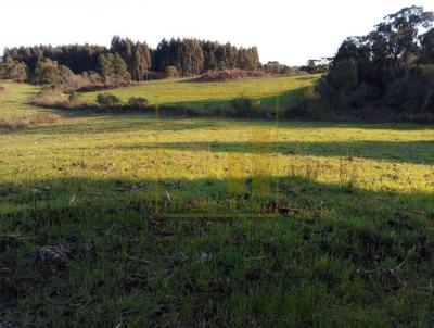 Chcara para Venda, em Trs Coroas, bairro Serra Grande