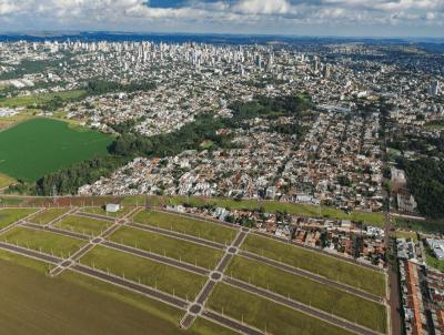 Terreno para Venda, em Cascavel, bairro Recanto Tropical