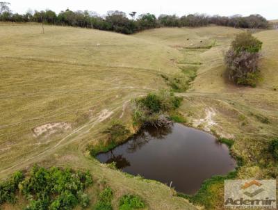 Stio para Venda, em Santo Antnio da Platina, bairro Zona Rural