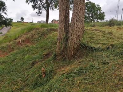 Terreno para Venda, em Taubat, bairro campos do conde