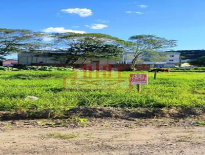 Terreno para Venda, em Ararangu, bairro Coloninha