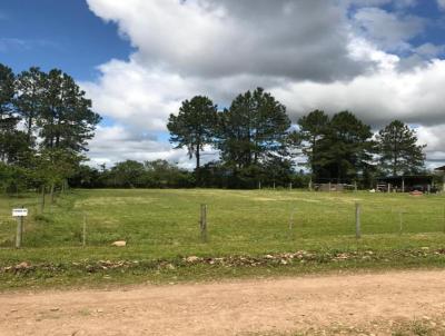 Terreno para Venda, em So Joo do Sul, bairro Trs Coqueiros