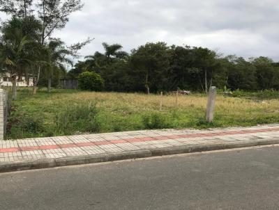 Terreno para Venda, em So Joo do Sul, bairro Centro