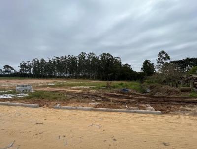 Terreno para Venda, em So Joo do Sul, bairro Pinheiros