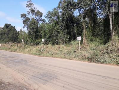 Terreno para Venda, em , bairro ibina