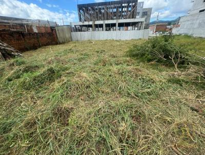 Terreno para Venda, em Cambori, bairro Santa Regina