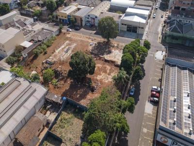 Terreno para Venda, em Apucarana, bairro Barra Funda