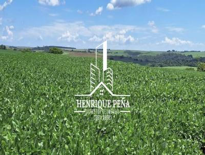 Fazenda para Venda, em Cornlio Procpio, bairro .