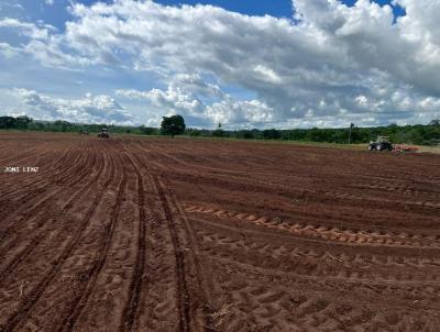 Fazenda para Venda, em Cceres, bairro FAZENDA