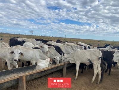 Fazenda para Venda, em Cotegipe, bairro 