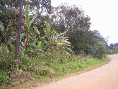 rea para Venda, em Joinville, bairro Vila Nova