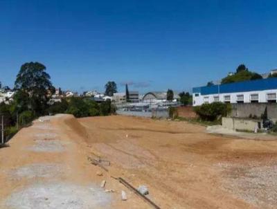 Terreno para Locao, em So Bernardo do Campo, bairro Dos Casa