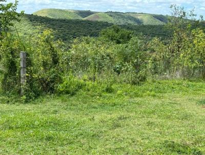 Terreno para Venda, em Santana do Livramento, bairro Jardim dos Pltanos