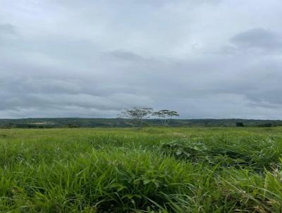 Fazenda para Venda, em Catu, bairro Abrantes