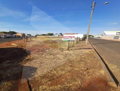 Terreno Comercial para Venda, em Rio Verde, bairro Vila Maria