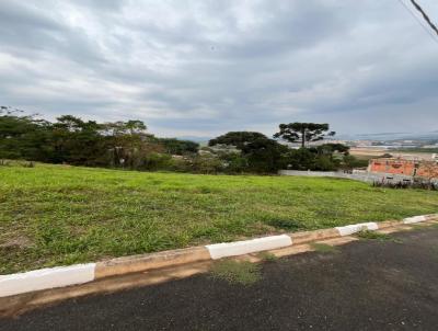 Terreno para Venda, em Bom Jesus dos Perdes, bairro Alto da Floresta  - Bom Jesus dos Perdes