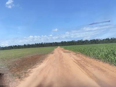 Fazenda para Venda, em Paranatinga, bairro FAZENDA