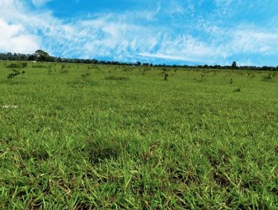 Fazenda para Venda, em Rondonpolis, bairro FAZENDA